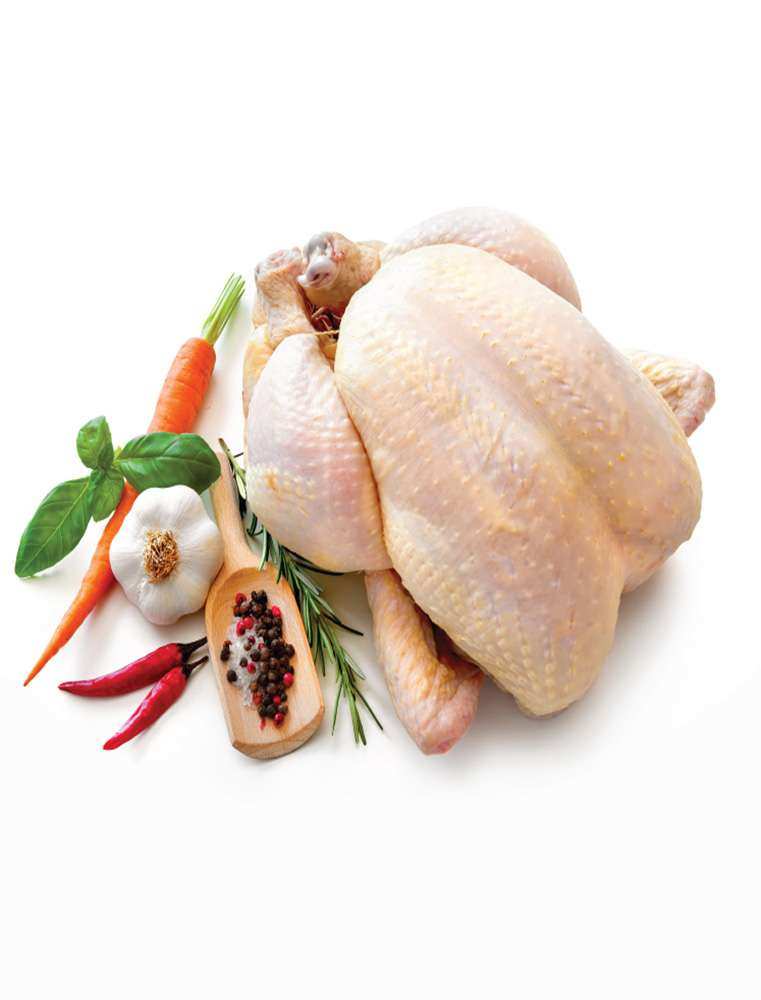 Organik Tavuk - Organic Chicken